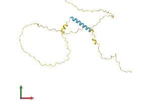 Protein Structure (PS) image for Transcription Elongation Factor A (SII)-Like 5 (TCEAL5) (AA 1-206) protein (His tag) (ABIN7544299)