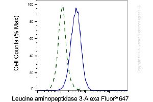 Validation of Leucine aminopeptidase 3 knockdown using flow cytometry. (Recombinant LAP3 antibody)