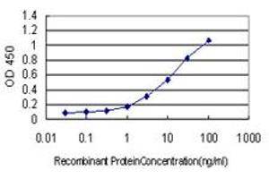 Detection limit for recombinant GST tagged NR2E3 is approximately 0. (NR2E3 antibody  (AA 1-322))
