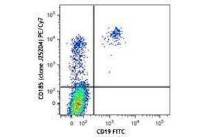 Flow Cytometry (FACS) image for anti-Chemokine (C-X-C Motif) Receptor 5 (CXCR5) antibody (PE-Cy7) (ABIN2659138) (CXCR5 antibody  (PE-Cy7))