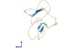 AlphaFold protein structure predicition of Human Recombinant CAAP1 Protein, UniprotID Q9H8G2