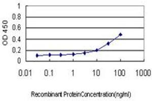 Detection limit for recombinant GST tagged DAZ1 is approximately 1ng/ml as a capture antibody. (DAZ1 antibody  (AA 21-120))