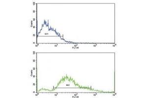 Flow cytometric analysis of SK-Br-3 cells using PDGFR beta antibody (bottom histogram) compared to a negative control (top histogram). (PDGFRB antibody  (AA 40-72))