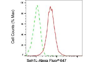 Flow cytometric analysis of Seh1L expression in HAP-1 cells using Seh1L antibody (ABIN7800290), 1:2,000).