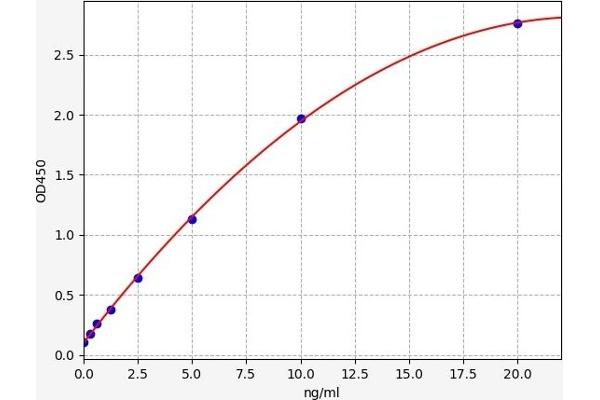 alpha 1 Adrenergic Receptor ELISA Kit