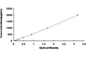 Typical standard curve (Leptin Receptor ELISA Kit)