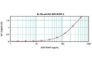 Image no. 1 for anti-Chemokine (C-X-C Motif) Ligand 2 (CXCL2) antibody (Biotin) (ABIN465752) (CXCL2 antibody  (Biotin))