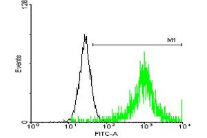 FACS analysis of negative control 293 cells (Black) and ATP1B3 expressing 293 cells (Green) using ATP1B3 purified MaxPab mouse polyclonal antibody. (ATP1B3 antibody  (AA 1-279))