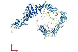 Protein Structure (PS) image for Transmembrane Protein 1 (TMEM1) (AA 1-1259) protein (His tag) (ABIN7555815)