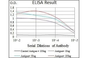 Black line: Control Antigen (100 ng), Purple line: Antigen(10 ng), Blue line: Antigen (50 ng), Red line: Antigen (100 ng), (RELB antibody  (AA 273-443))
