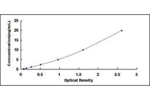 YME1L1 ELISA Kit