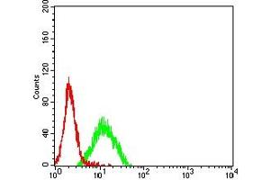 Flow cytometric analysis of K562 cells using CD96 mouse mAb (green) and negative control (red). (CD96 antibody  (AA 321-519))