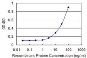 Detection limit for recombinant GST tagged ZFYVE16 is 1 ng/ml as a capture antibody. (ZFYVE16 antibody  (AA 1-100))