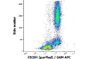 Flow cytometry surface staining pattern of human peripheral whole blood stained using anti-human CD354 (6B1) purified antibody (concentration in sample 1,67 μg/mL, GAM APC). (TREM1 antibody)