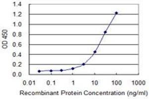 Detection limit for recombinant GST tagged POLR2C is 0. (POLR2C antibody  (AA 1-275))