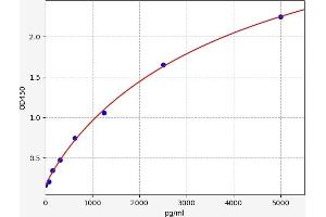 LMAN1 ELISA Kit