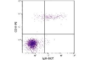 Human peripheral blood lymphocytes were stained with Goat Anti-Human IgM-BIOT and Mouse Anti-Human CD19-PE. (Goat anti-Human IgM (Heavy Chain) Antibody (Biotin))