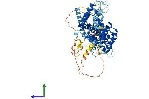 Protein Structure (PS) image for TATA Box Binding Protein (TBP)-Associated Factor, RNA Polymerase I, B, 63kDa (TAF1B) (AA 1-586) protein (His tag) (ABIN7556790)