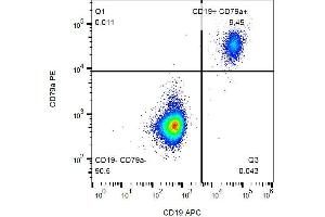 Intracellular staining of CD79a in human peripheral blood with anti-CD79a (HM57) FITC. (CD79a antibody  (AA 202-216))