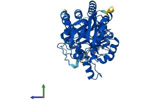 AlphaFold protein structure predicition of Mouse Recombinant Gda Protein, UniprotID Q9R111 (GDA Protein (AA 1-454) (His tag))