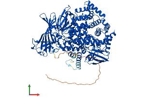 AlphaFold protein structure predicition of Human Recombinant ERAP2 Protein, UniprotID Q6P179