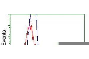 HEK293T cells transfected with either pCMV6-ENTRY RNF144B (RC209302) (Red) or empty vector control plasmid (Blue) were immunostained with anti-RNF144B mouse monoclonal (ABIN2453610), and then analyzed by flow cytometry. (RNF144B antibody  (AA 1-256))