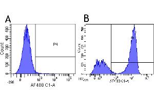 Flow-cytometry using anti-CD3 epsilon antibody YTH 12. (Recombinant CD3 epsilon antibody)
