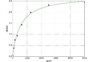 Myosin Heavy Chain ELISA Kit