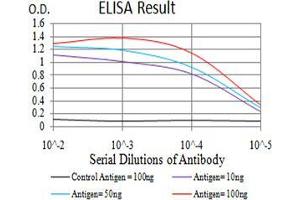 Black line: Control Antigen (100 ng),Purple line: Antigen (10 ng), Blue line: Antigen (50 ng), Red line:Antigen (100 ng) (TCF4 antibody  (AA 518-667))