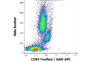 SLC44A1 antibody