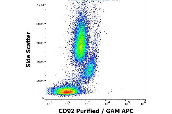 SLC44A1 antibody