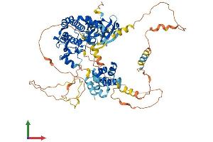 AlphaFold protein structure predicition of Mouse Recombinant Ripk1 Protein, UniprotID Q60855 (RIPK1 Protein (AA 1-656) (His tag))