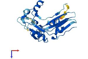 gamma-Glutamyltransferase Light Chain 2 (GGTLC2) (AA 1-218) protein (His tag)