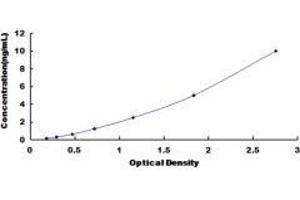 Sulfite Oxidase (SUOX) ELISA Kit