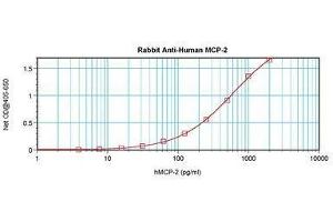 Image no. 5 for anti-Chemokine (C-C Motif) Ligand 8 (CCL8) antibody (ABIN465585) (CCL8 antibody)