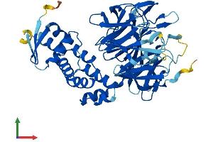 AlphaFold protein structure predicition of Mouse Recombinant Kbtbd13 Protein, UniprotID Q8C828