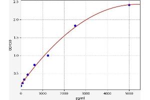 NUP62 ELISA Kit