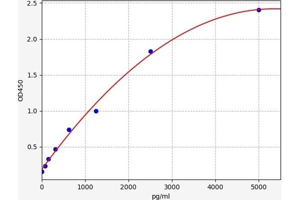 NUP62 ELISA Kit