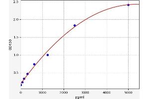 Typical standard curve (NUP62 ELISA Kit)