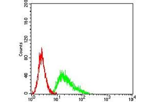 Flow cytometric analysis of Ramos cells using CD137 mouse mAb (green) and negative control (red). (CD137 antibody  (AA 24-186))