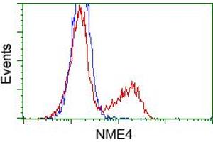 Flow Cytometry (FACS) image for anti-NME/NM23 Nucleoside Diphosphate Kinase 4 (NME4) antibody (ABIN1499778)