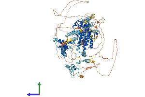 AlphaFold protein structure predicition of Human Recombinant BRPF1 Protein, UniprotID P55201