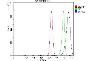anti-Zinc Finger Protein 609 (ZNF609) (AA 1122-1411) antibody