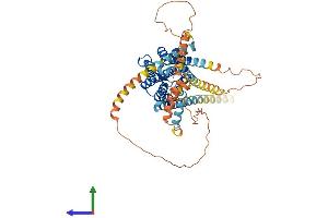 AlphaFold protein structure predicition of Human Recombinant GPR161 Protein, UniprotID Q8N6U8