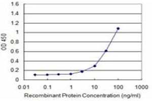 Detection limit for recombinant GST tagged ATF3 is approximately 3ng/ml as a capture antibody. (ATF3 antibody  (AA 1-181))