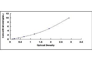 Typical standard curve (SIGLEC7 ELISA Kit)