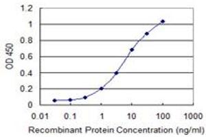 Detection limit for recombinant GST tagged MSI2 is 0. (MSI2 antibody  (AA 1-328))