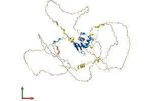 Protein Structure (PS) image for Forkhead Box O4 (FOXO4) (AA 1-505) protein (His tag) (ABIN7565241)