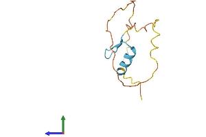 Protein Structure (PS) image for Zinc Finger Protein 861, Pseudogene (ZNF861P) (AA 1-105) protein (His tag) (ABIN7545505)
