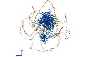 Protein Structure (PS) image for Drosha, Ribonuclease Type III (DROSHA) (AA 1-1374) protein (His tag) (ABIN7555247)